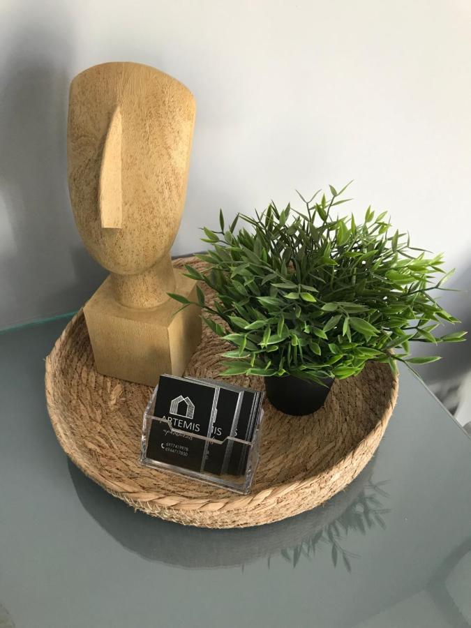 דיאקופטו Artemis Apartments מראה חיצוני תמונה